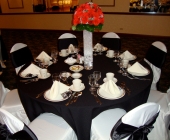 324253_273238379363391_1288978323_o